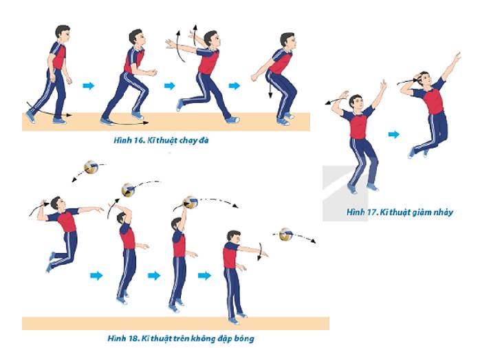 [Chia sẻ] Cách đập bóng chuyền đúng kỹ thuật và mạnh